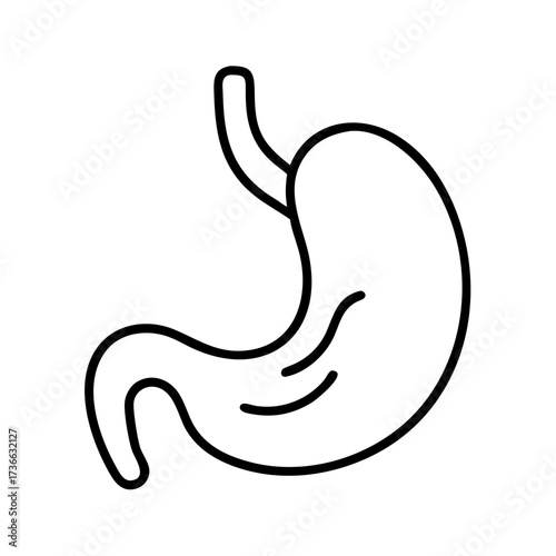 Human stomach anatomy diagram for medical education and healthcare resources in simple line art illustration