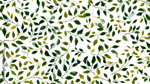 A rich foliage design with lush green leaves and delicate branches against a stark black background, creating an eye-catching nature pattern.