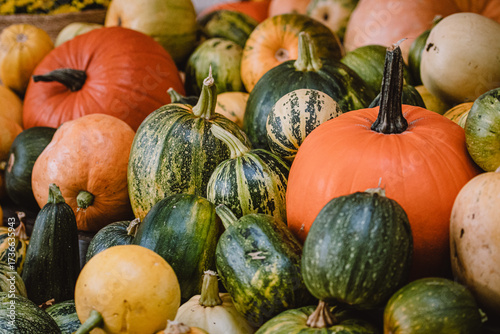 A colorful assortment of pumpkins and gourds in various shapes, sizes, and colors. The image captures the essence of autumn harvest with a rich variety of textures and natural tones