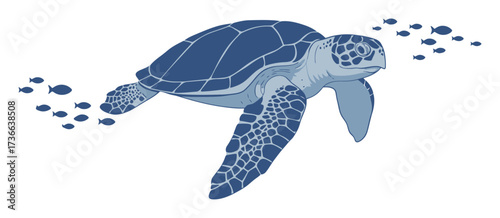 Sea turtle swimming underwater with a school of fish. Blue monochrome vector illustration representing marine life, ocean conservation, and the aquatic world.