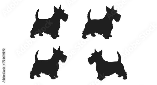 Four silhouette scottish terrier dog icons poses on a for commercial use