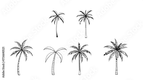 Modern minimalist poster with eight palm tree line drawings in horizontal layout. Black outlines, some solid fills, neutral cream background, clean flat design emphasizing geometry and simplicity.”