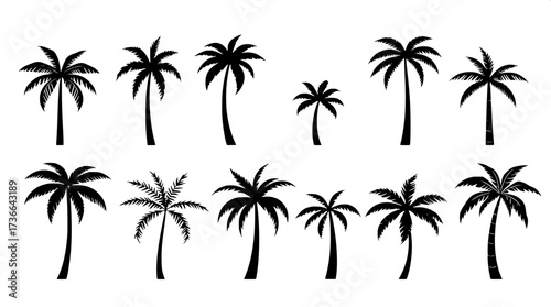 Modern minimalist poster with eight palm tree line drawings in horizontal layout. Black outlines, some solid fills, neutral cream background, clean flat design emphasizing geometry and simplicity.”