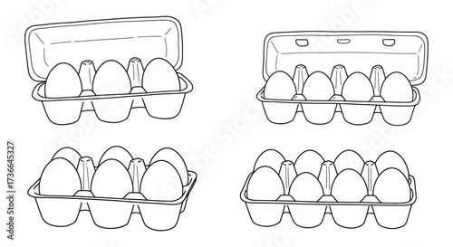 Simple sketch of four egg cartons each containing a dozen eggs