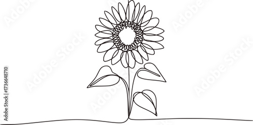 Single line drawing of a sunflower with leaves nature line art
