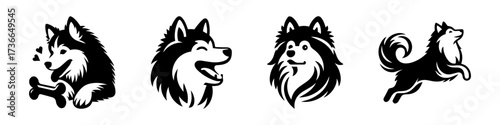 Modern Minimalist American Eskimo Dog Head Front View Icon, Flat Silhouette of a Fluffy Pet Vector for Animal Illustration Design