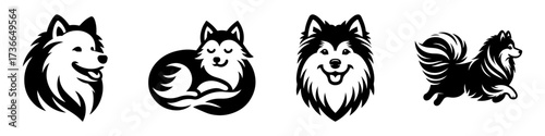 Modern Minimalist American Eskimo Dog Running Icon, Flat Silhouette of a Fluffy Pet Vector for Animal Illustration Design