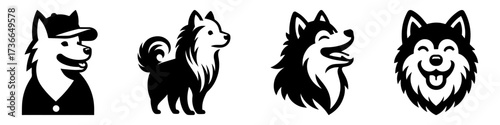 Modern Minimalist American Eskimo Dog Head Wearing Hat Icon, Flat Silhouette of a Fluffy Pet Vector for Animal Illustration Design