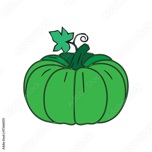 Green Pumpkin Illustration