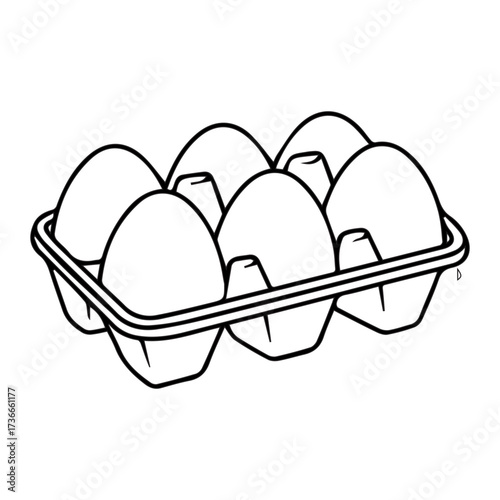 Eggs in a Carton