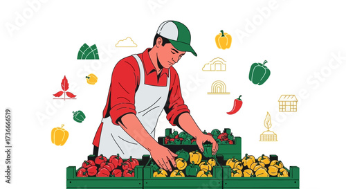 Farmer Inspecting Freshly Harvested Peppers Demonstrating Agricultural Produce Quality