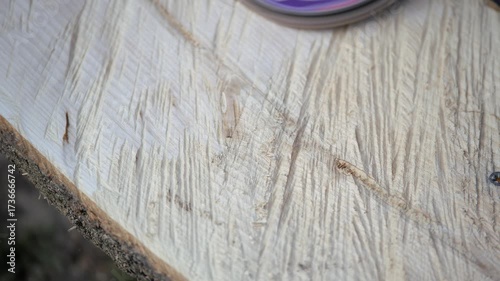Polishing wood. Processing of logs using a grinding machine. Carpentry work. Carpentry industry.