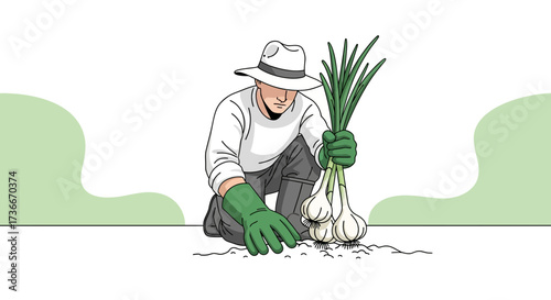 Gardener Harvesting Fresh Garlic, Illustration of Organic Food and Cultivation