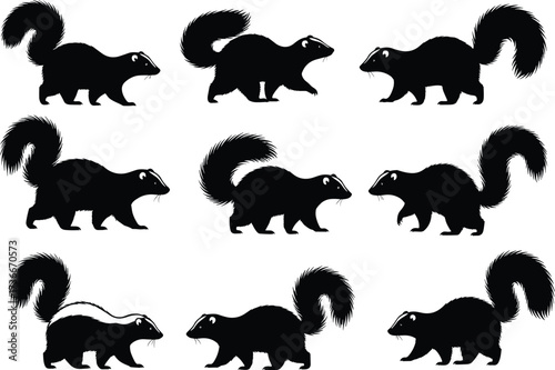 Skunk silhouette set, striped mammal vector, wildlife animal illustration, forest creature poses, unique nature clipart design