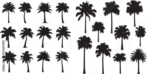 Collection of Black Tropical Palm Tree Silhouettes on White Background