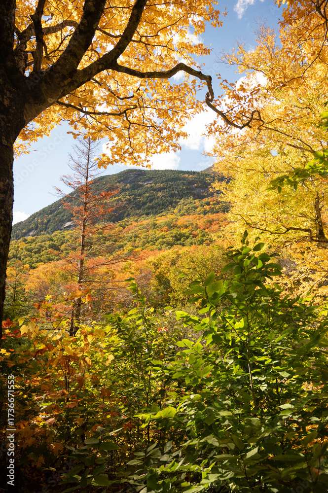 Fototapeta premium Dramatic Fall Foliage in New England Mountains