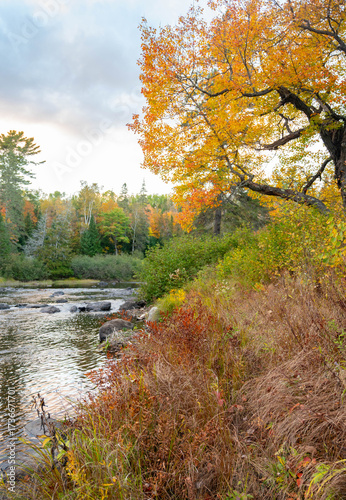 Vibrant fall New England Foliage Over Pond