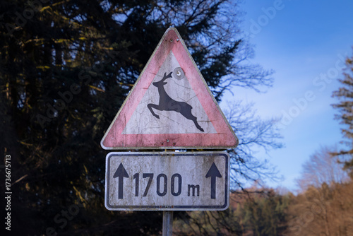 Warnschild zu Wildwechsel
