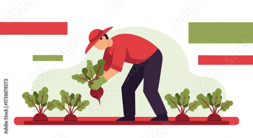 Illustration of a farmer harvesting beets from the field in a flat design style
