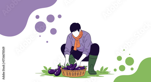 Harvesting Eggplants, A Farmer's Illustration With Purple Vegetables, Farming Illustration.