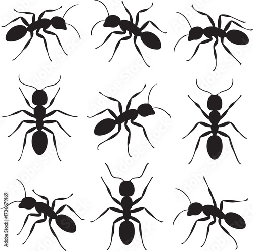 grid of ant silhouettes vector set ai eps jpeg png insect icons black minimal flat illustration