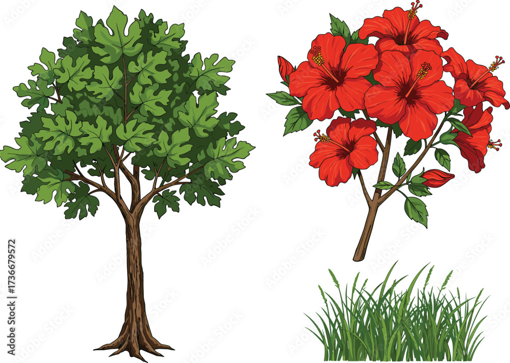 Fototapeta premium Deciduous tree, hibiscus shrub, green grass, botanical diversity, nature illustration, tropical plants, vibrant foliage, garden scene, plant life, outdoor landscape