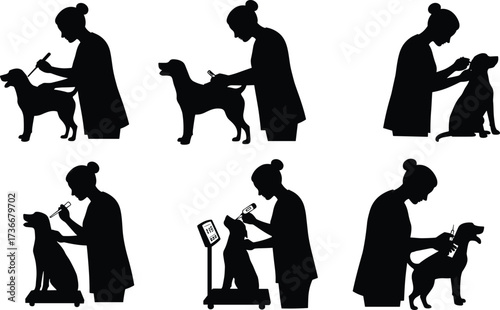 Veterinarian silhouette, dog care, animal doctor, pet health, veterinary clinic, dog treatment, animal injection, pet examination, veterinary medicine, animal healthcare