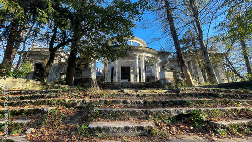 abandoned building in a forest