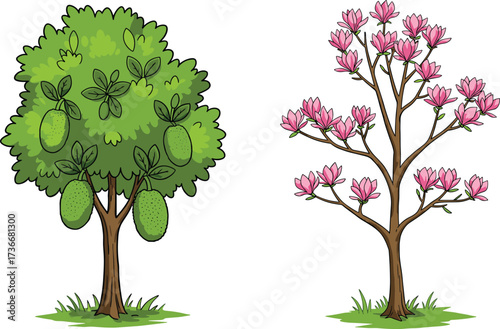 Fruit tree, flowering tree, botanical contrast, green foliage, pink blossoms, nature illustration, tropical plants, garden scene, tree comparison, plant diversity