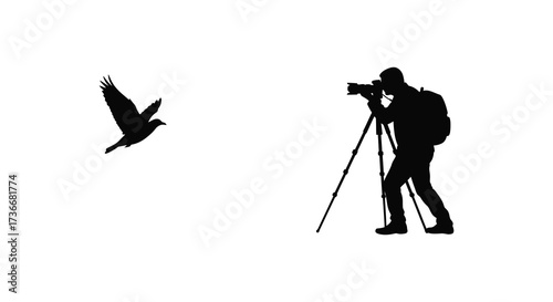 Silhouette photographer capturing bird in flight with tripod and camera on