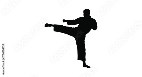 Dynamic martial arts silhouette dynamic karate kick silhouette fitness sport action martial arts