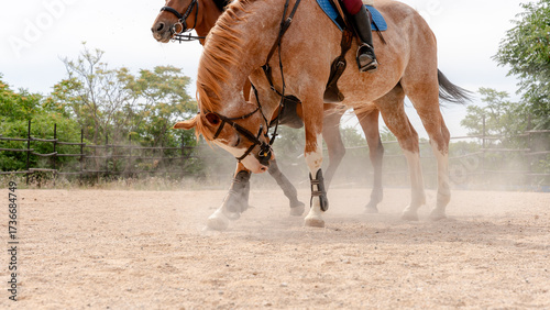 Horseback riders on sandy arena in equestrian setting