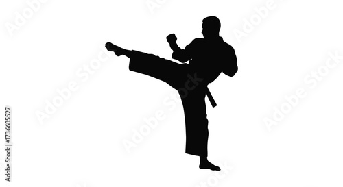 Martial arts silhouette of karate master performing high side kick dynamic action