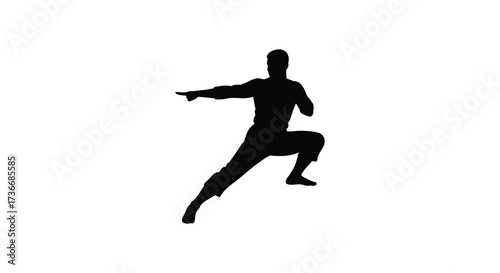 Dynamic silhouette of a martial artist performing a powerful kick and punch