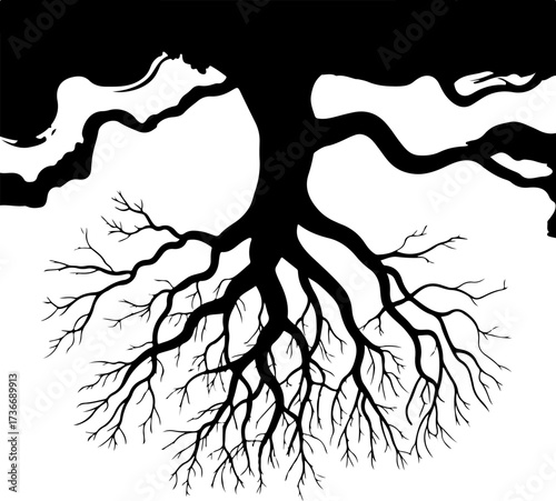 Minimalist yet profound artwork showcasing the expansive root system of a mature tree, representing hidden power and life's essential support