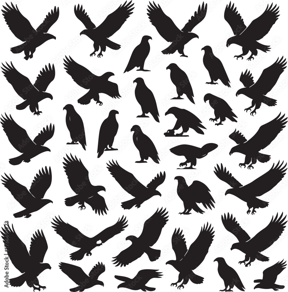 Fototapeta premium Adobe Illustrator Artwork