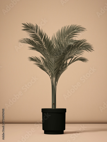 Decorative Areca Palm plant in a black pot against a neutral wall