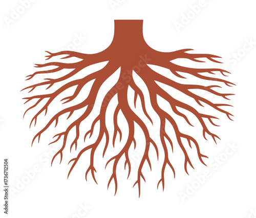 Stylized Brown Tree Roots Spreading Outward on a White Background