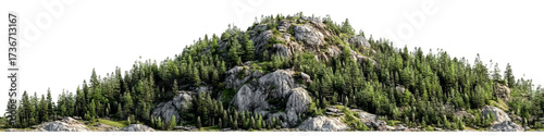 Wallpaper Mural PNG of A serene rocky hill landscape adorned with lush evergreen trees under a clear blue sky. Torontodigital.ca