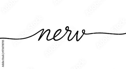 Unveiling the Intricacies of the Nervous System and Its Vital Functions for Human Health and Well-being