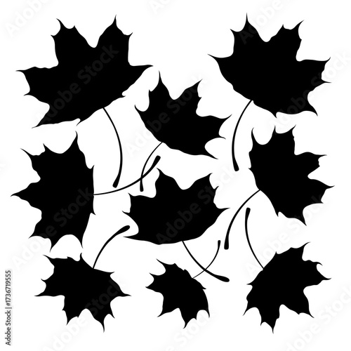 Isolated black silhouette of maple leaves on white background. Set of maple leaves.