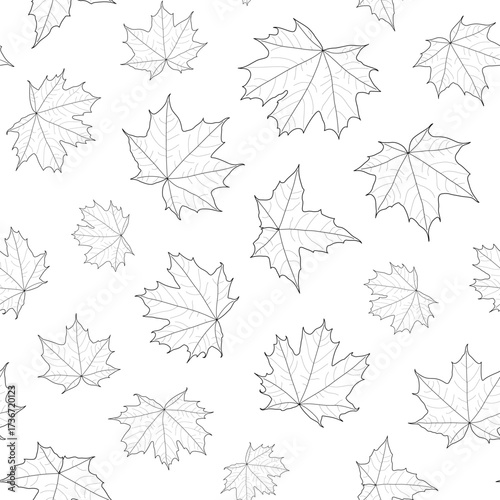 Abstract botanical pattern. Seamless print composed of black line of leaves of maple on white background.