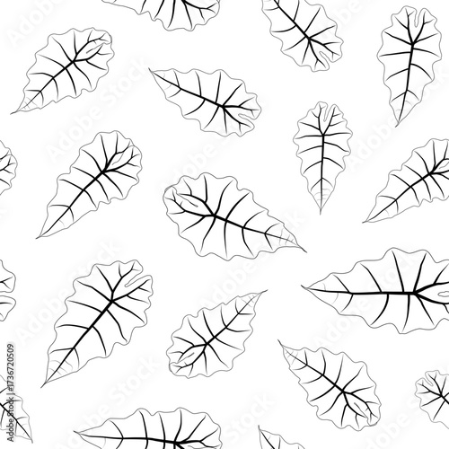 Abstract botanical pattern. Seamless print composed of black line of leaves of alocasia polly on white background. Botanical background.