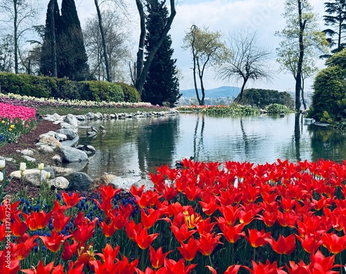 Photography a lake whose shores are planted with red and pink tulips, spring in Istanbul, tu