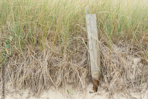 Cape Cod Beach dune protection fence in W. Dennis Beach Massachusetts
