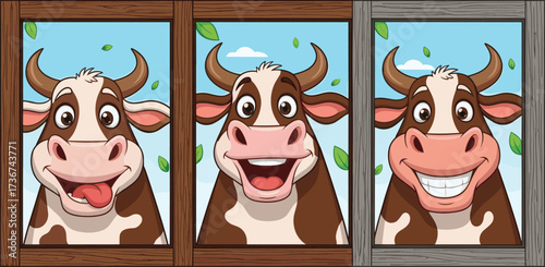 Cartoon funny cow faces looking through wooden farm windows, smiling and playful dairy cattle illustration, livestock animal vector design for children