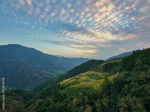  Scenic view of Longji Rice Terraces in Guangxi, China, with golden fields and morning mist enveloping distant hills