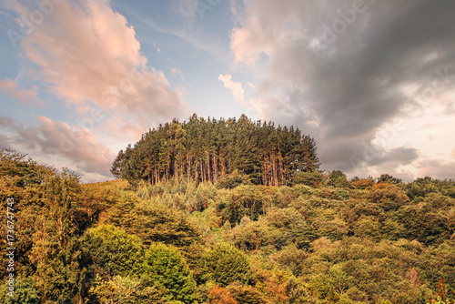 Obraz na plátně Dense hilltop forest rising above colorful autumn woodland, illuminated by warm