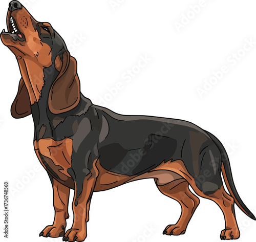 Alpine Dachsbracke dog howling or barking pose vector illustration