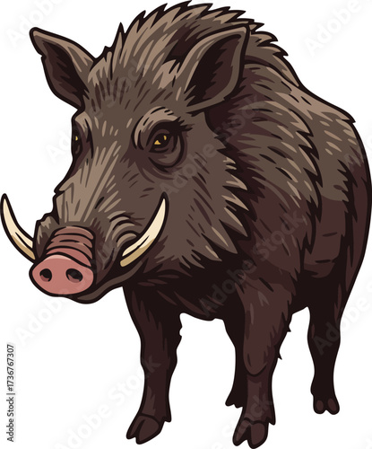 Wild boar standing looking forward detailed vector illustration with brown fur and sharp tusks